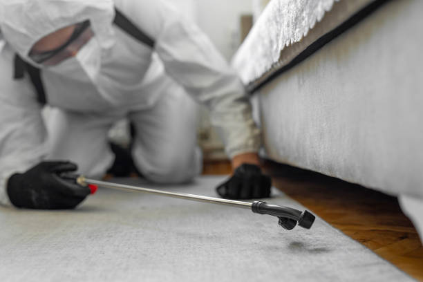 Professional Pest Control technician working in Washington County County, AR